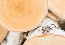 Birkenbrennholz Vorteile und Nachteile
